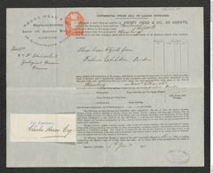 Nachlass Franz Steindachner, Aufgabeschein von Henry Head & Co., Shipping and Forwarding Agents and Insurance Brokers an Franz Steindachner (10.01.1884), Inv.Nr. 202.01, Seite 1